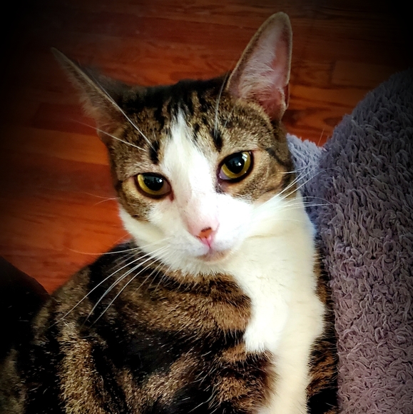 Meet your Posher, Julie - Picture 6 of 7